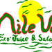 Click to visit Nile Valley